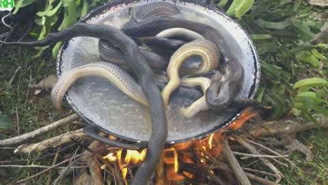 花季传媒在线观看免费入口