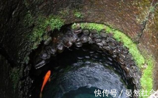 deviluke动漫 动漫并寄宿在梨斗家