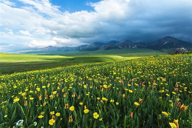 亚洲AV无码乱码精品国产福利 