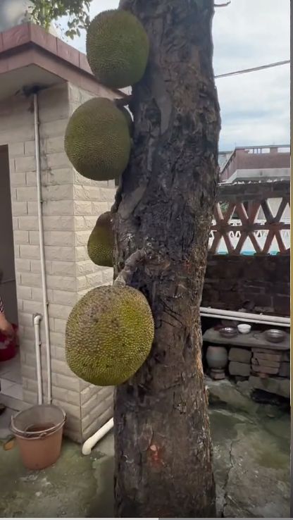 男男动漫在线看 如果你有其他问题或需要帮助