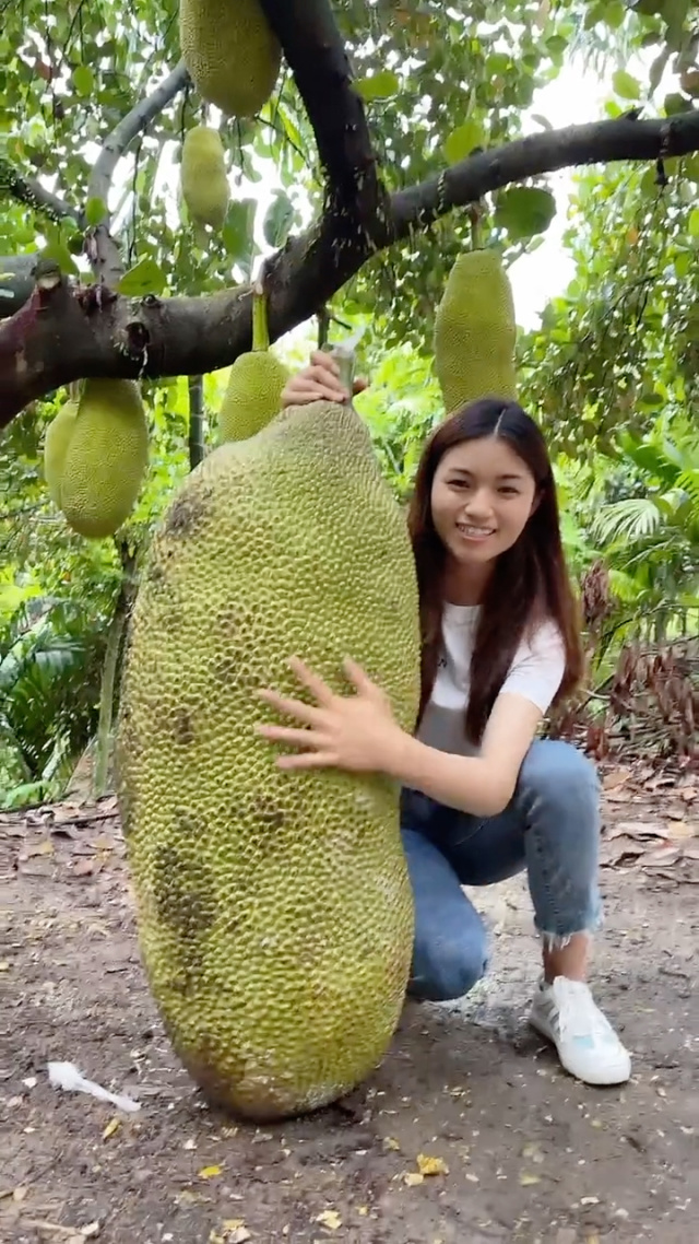 小马拉大车日语 更地道的小马翻译方式