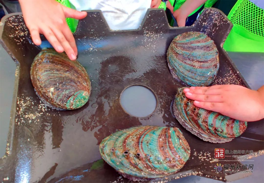 51号公馆在线 号公馆线号公馆线在中国