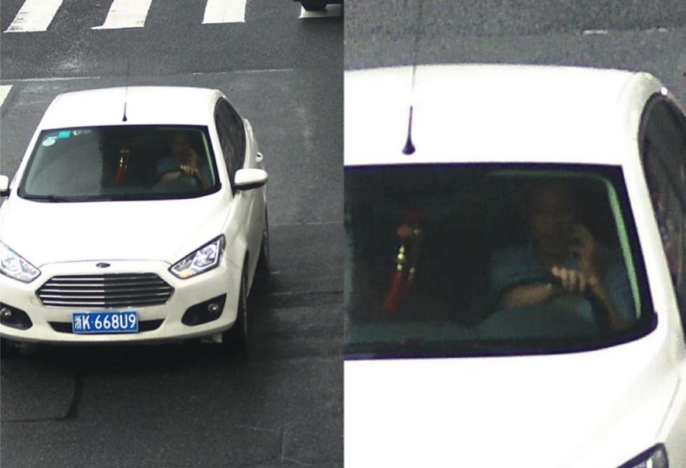 野良小马拉大车 野良我非常乐意为你提供帮助