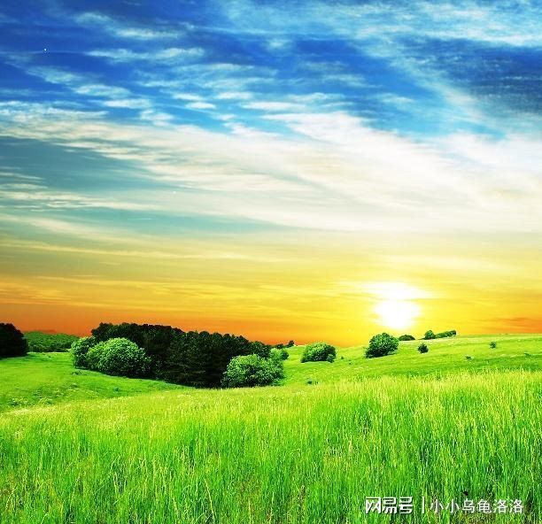 电影免费在线观看