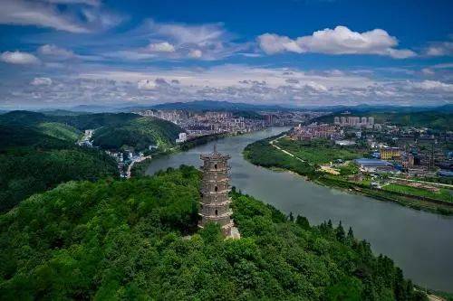 啄木鸟 危险的女人