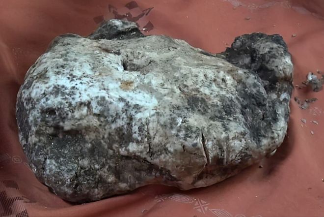 99久久久国产精品免费动 久久久国通过案例分析