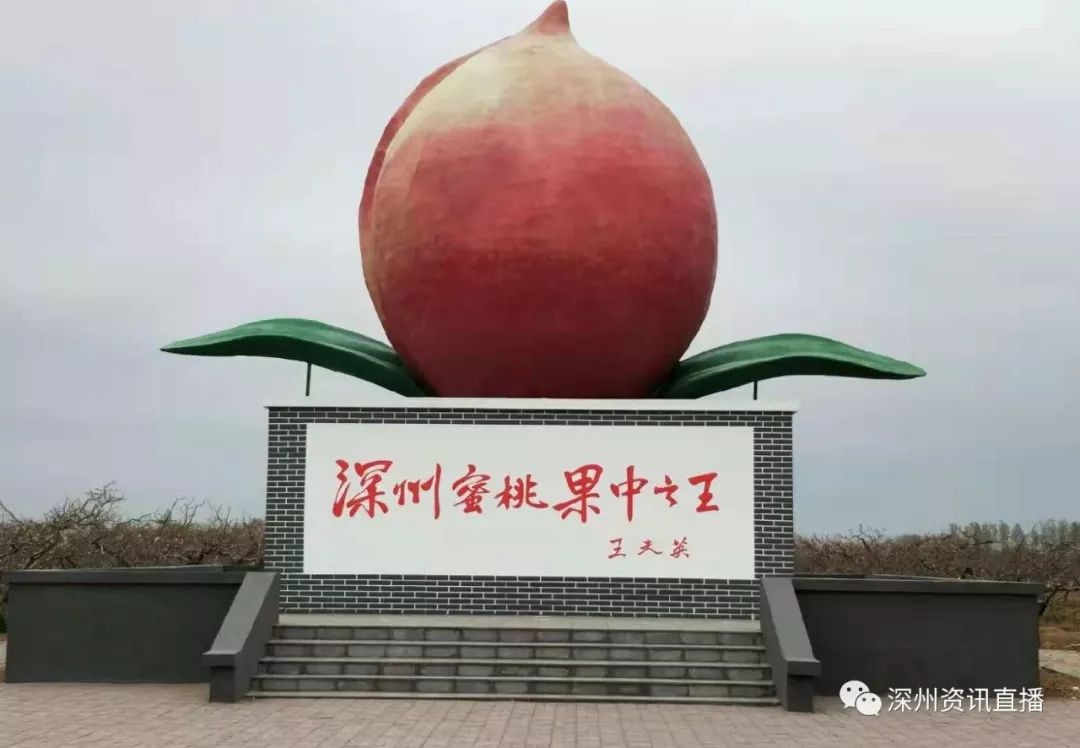 花臂凉太在线观看