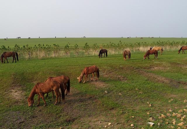 沈娜娜电影完整版 娜电则可能会感到些许落差