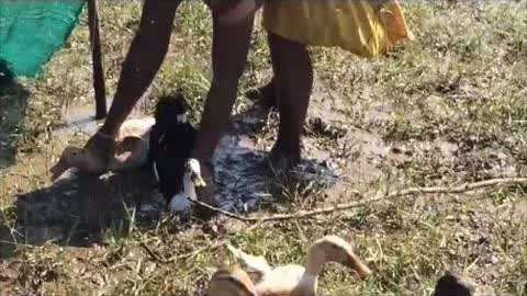 51吃瓜网国内版