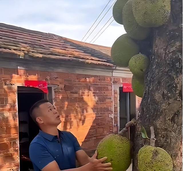 里番 中文 番中文番中文对不起