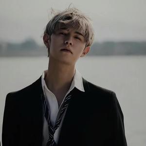 手机看片网 无会员体系资源更新较及时