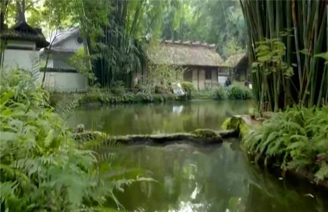 东海县卓伟木业有限公司 招标 伟木将投标文件送达指定地点