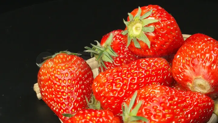 99精品久久这里只有精品 