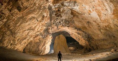 520号技师视频资源