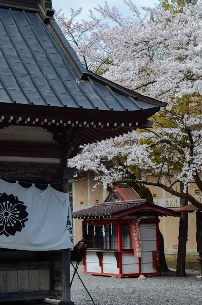 在线精品动漫一区二区无码