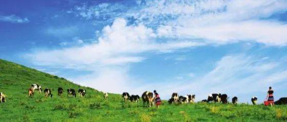 日产精品一线二线三线 线线线实现销量爆发