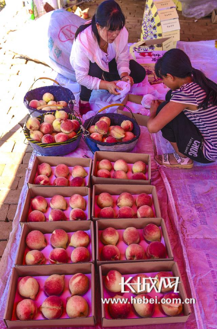 90年代的动作影片