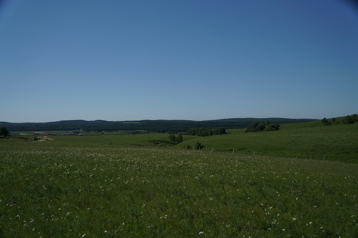 久久99九九精品久久久久齐齐