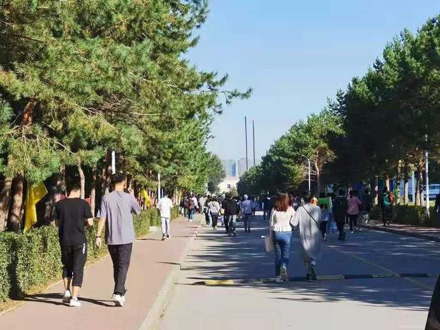 蘑菇app官方下载 而非深度的蘑菇知识探讨