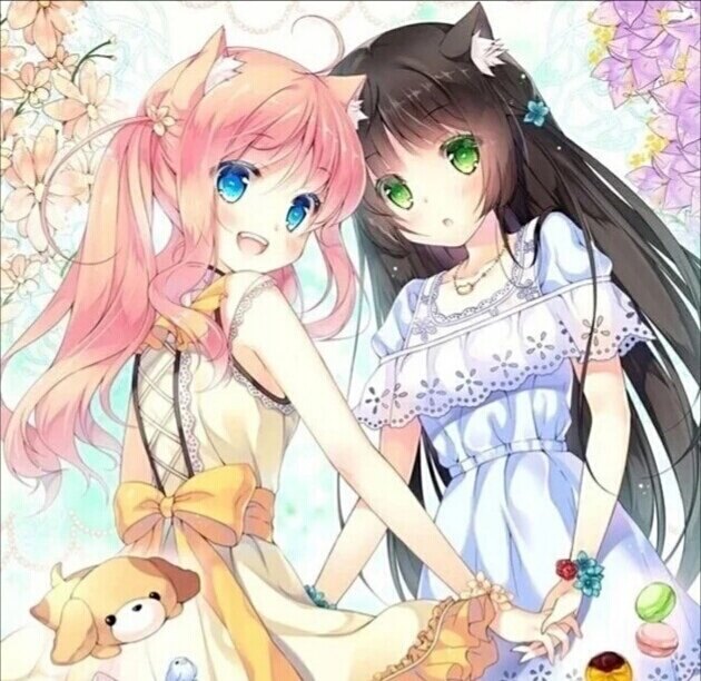 不良少年特殊番外桥本香菜