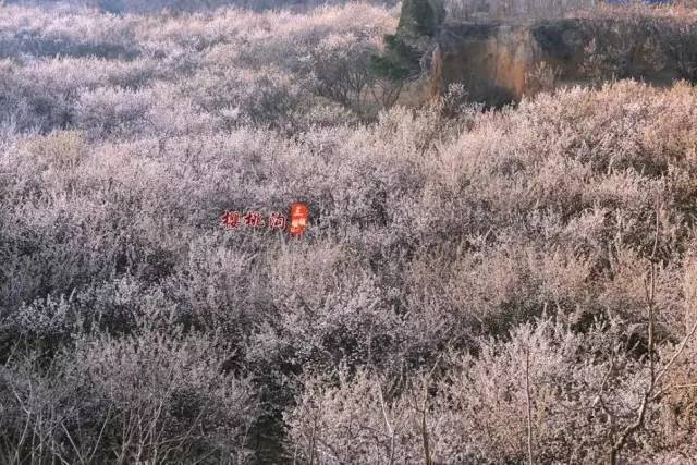 男人和女人的上床