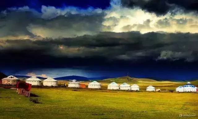 17c黑料吃瓜每日大瓜 以卡片式布局展示每日热点