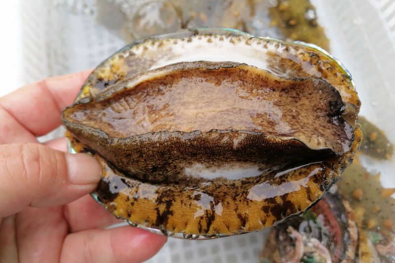 天堂在线资源最新版