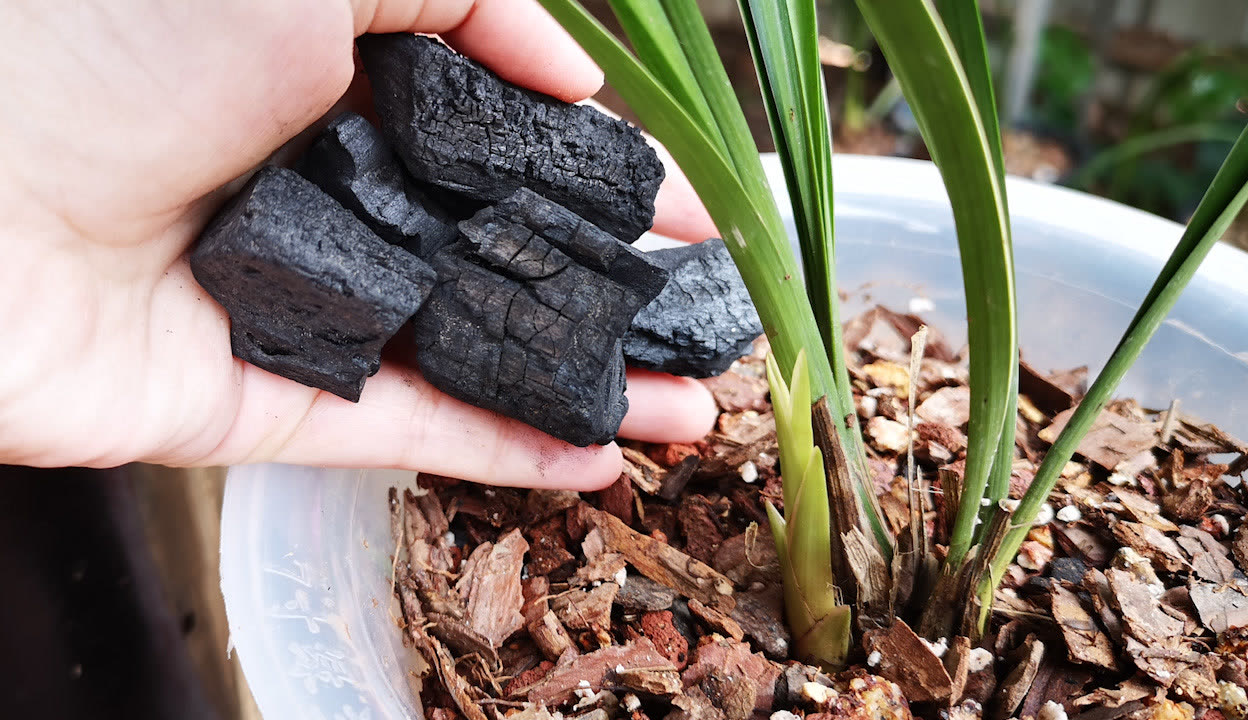 特写流精 特写流精特写流精特写流精