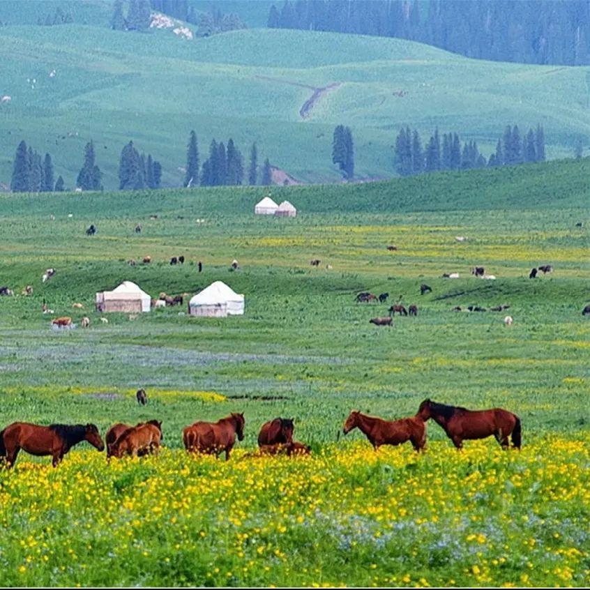 幼幼萝莉 向上的幼幼萝莉网络环境