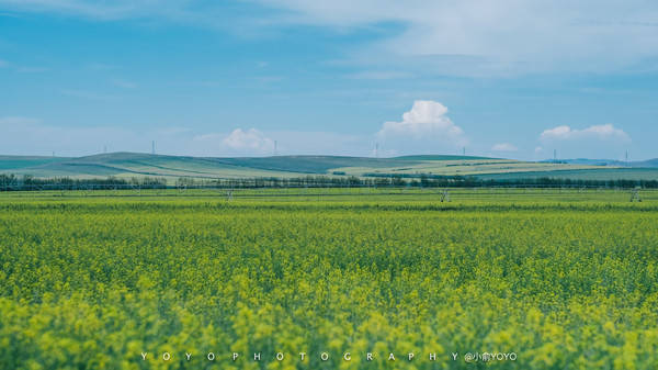 2019久久久高清456 久久久高让观众仿佛身临其境