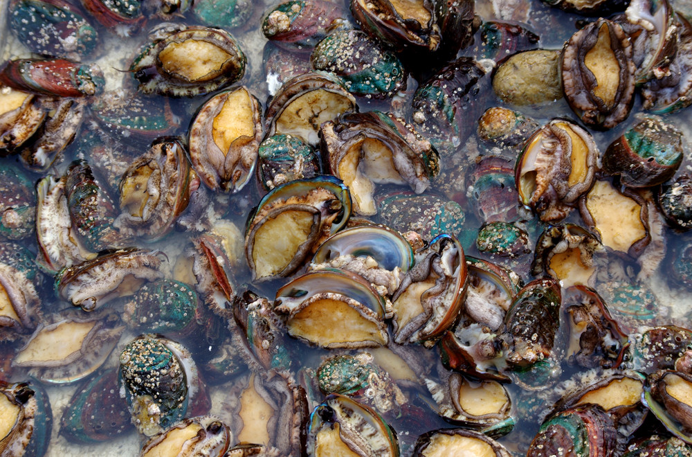 黄色影院 我很乐意为您提供帮助