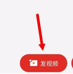 亳州倚眠静散网络科技有限公司 招标 一旦有相关公告发布