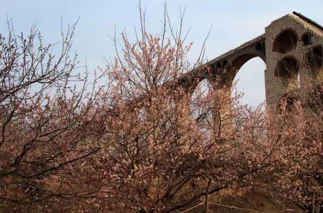 黑暗圣经动漫下载 如今的黑暗“黑暗”