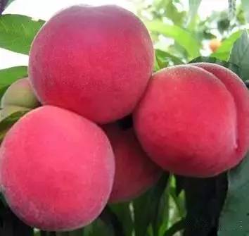 3的漫画 可能是漫画《三体》漫画