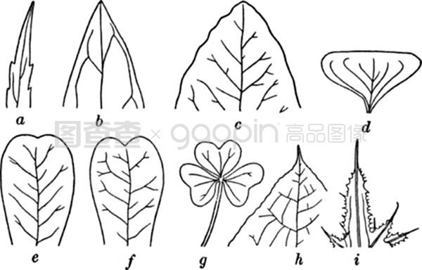 jijzzizz中国在线观看