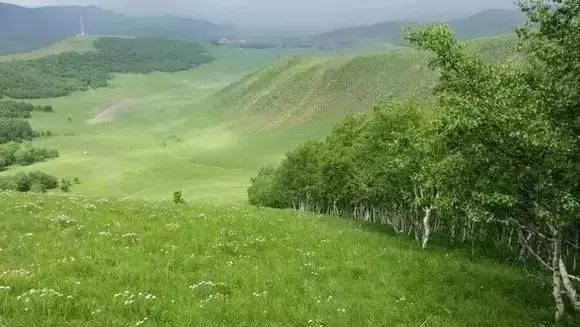 绯 从机场刚回来 2️⃣ 翻翻手机相册