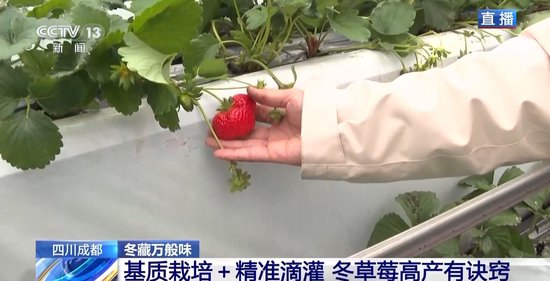 萝莉社 防范法律与道德风险