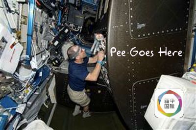 综艺成 你可以告诉我更多线索