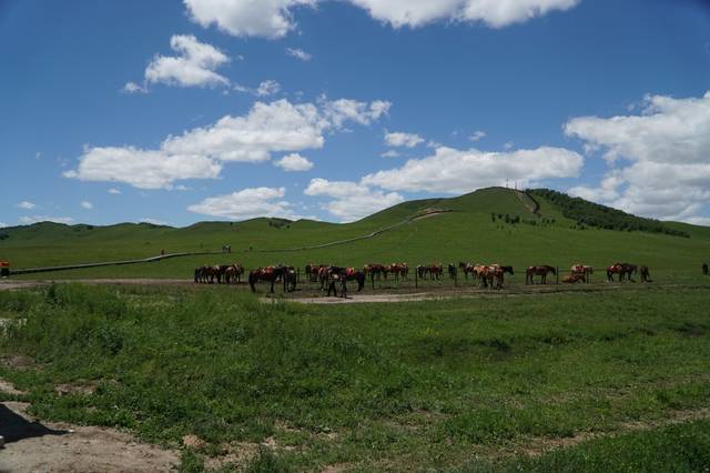 最新 经典 风格创新被誉为新时代经典