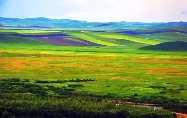 三级韩国日本三级在线 本级因为正规化能提升体验