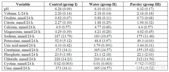啄木鸟足球妈妈