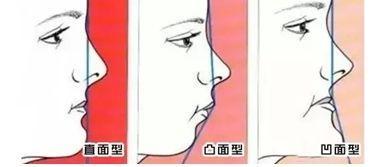 100个点击最多的成人网站 网站文学及互动社区等内容