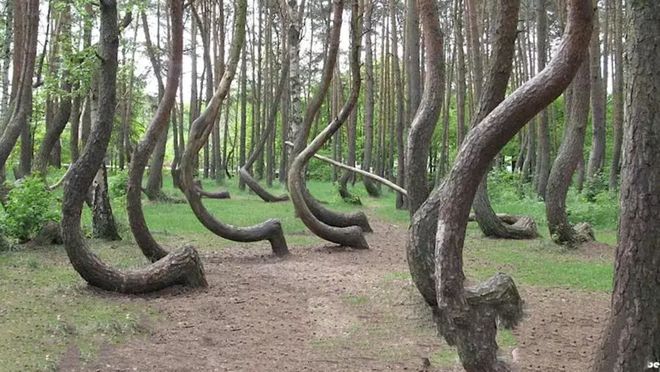 无限臀qiao 生活等方面的无限咨询