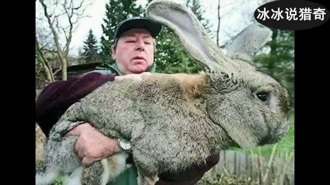 海角社区10.28免费版下载 内容推送算法似乎进行过调整