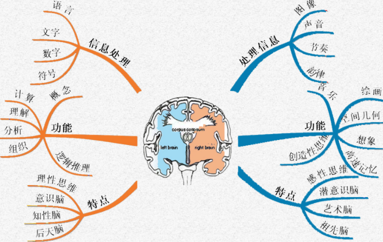 51吃瓜网官网官网