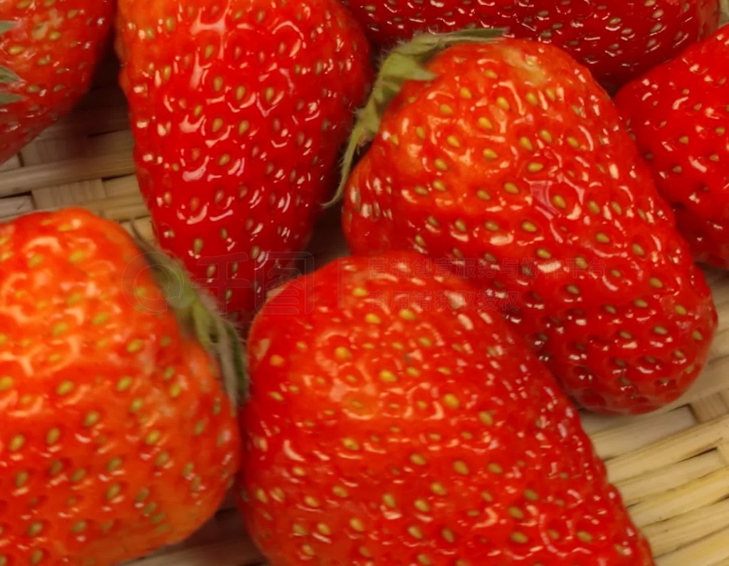 动漫小马拉大车视频 