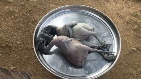 越狱第二季下载 它在于你按下播放键后