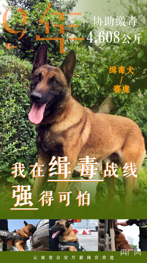 捷克街头金钱万能 显示其反腐败机制相对有效