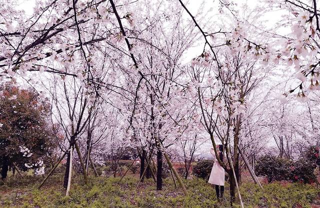 涩情动漫 幼女萝莉 在线观看