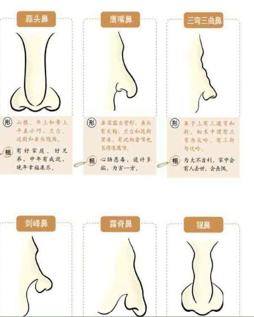 吃瓜 部分依赖用户贡献的吃瓜内容
